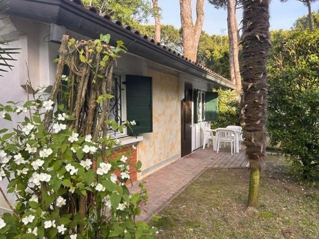 Villaggio Azzurro Lido di Jesolo Eksteriør billede